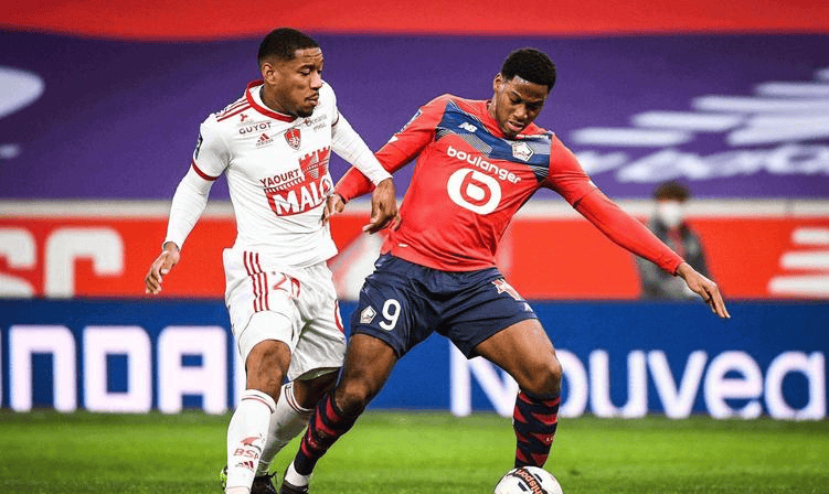 质提升的一 质提升的一