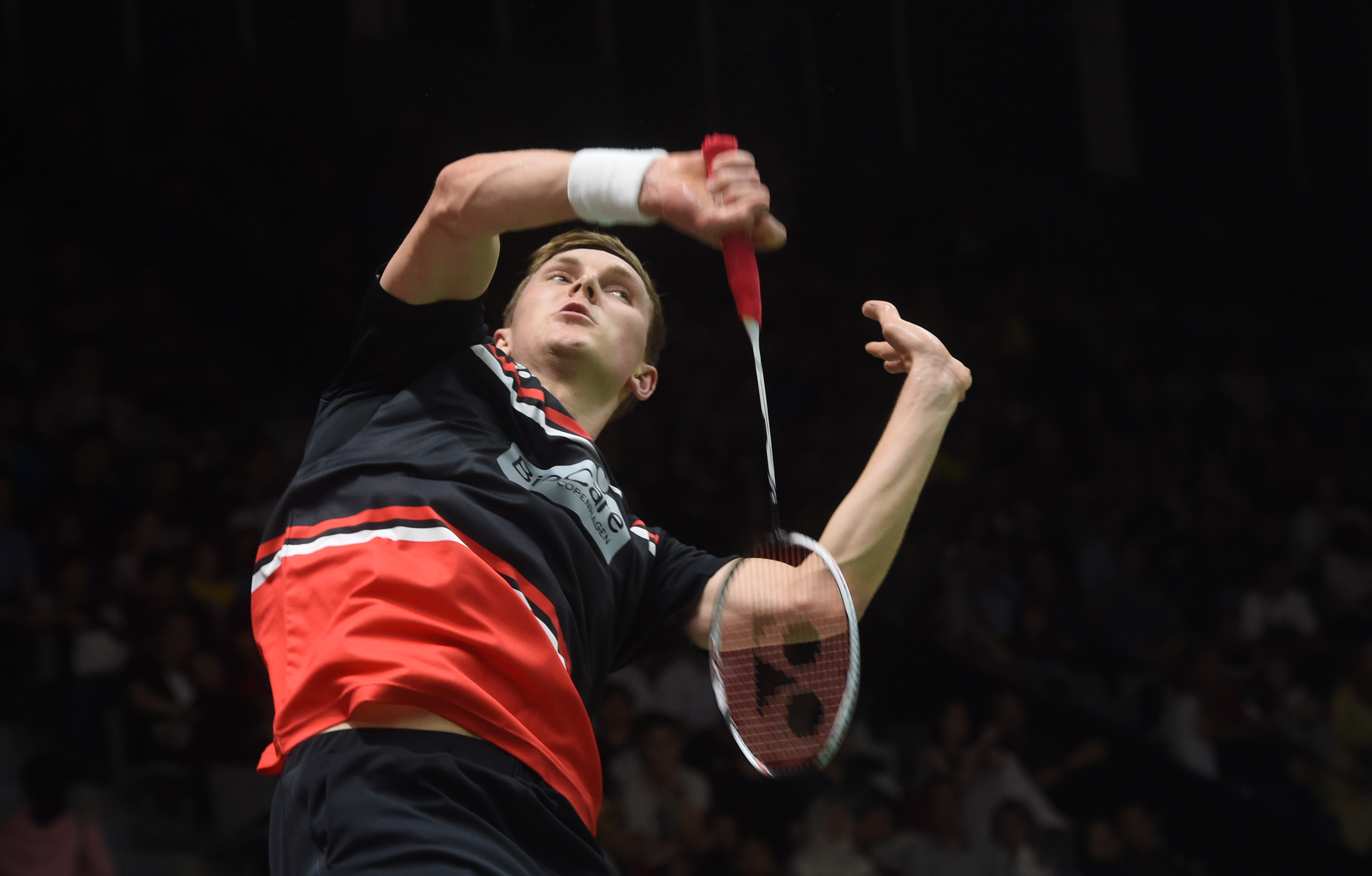 理与前辈球 理与前辈球