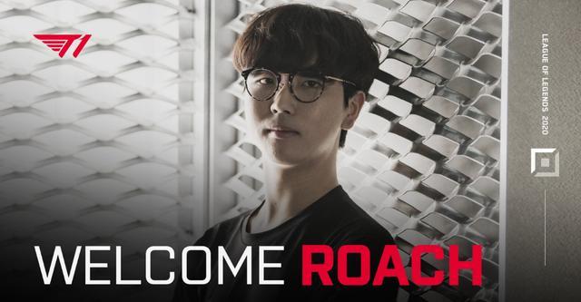 来了一种清 来了一种清