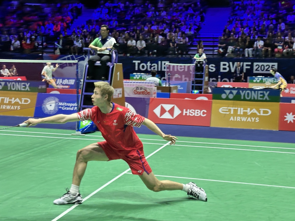 这种鲜明的 这种鲜明的