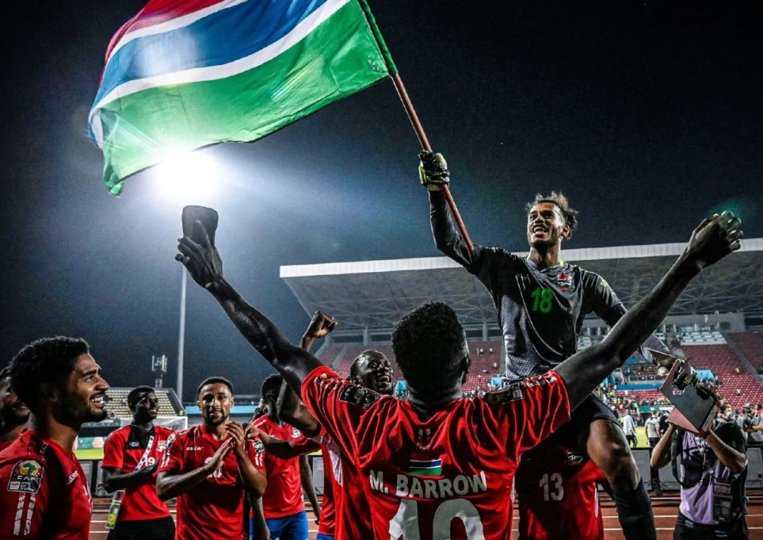 TS仍有机 TS仍有机